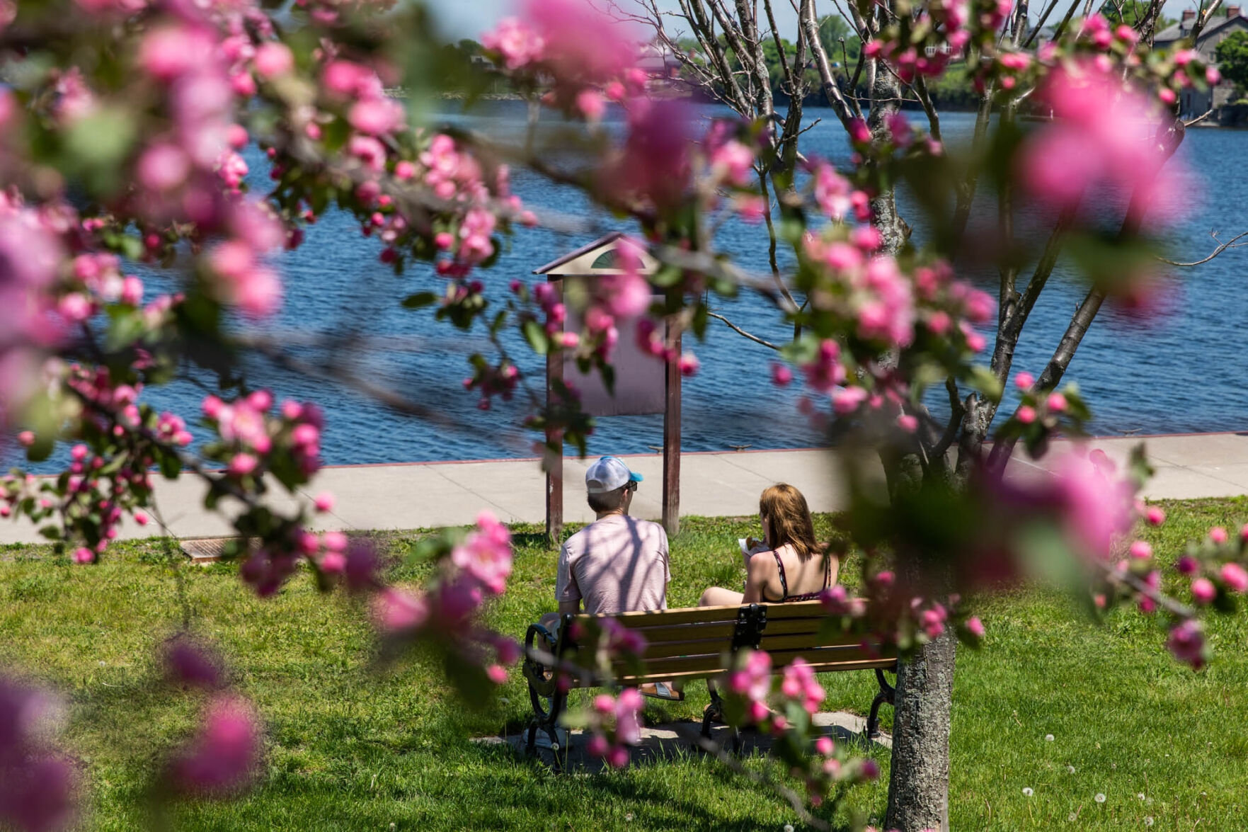 0527_wdj_lunch_SS1.JPG